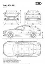 Audi SQ8 TDI 2019 года (WW)